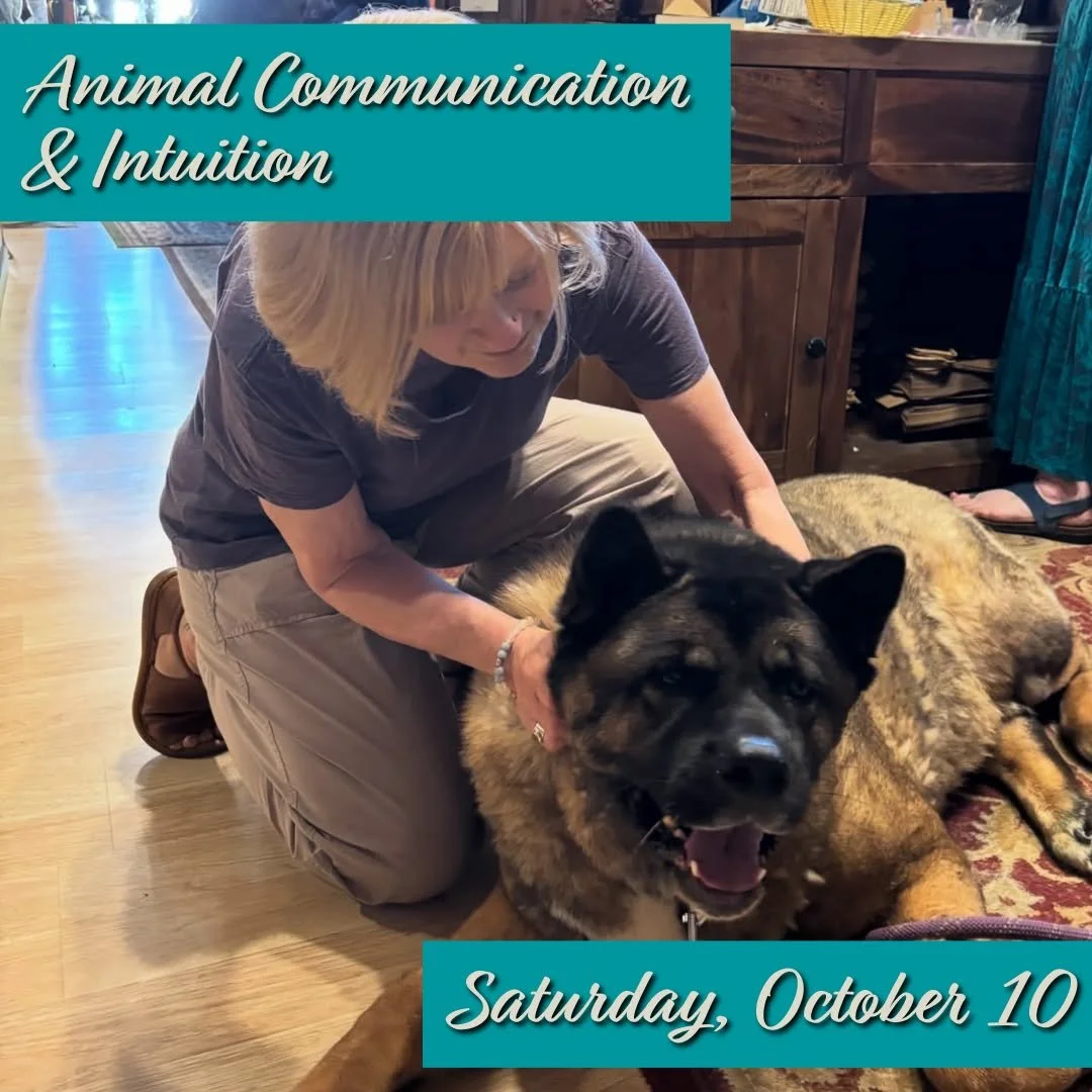 Join us on Saturday, October 10th to learn simple techniques for connecting with animals you know and love and how to begin strengthening your intuitive perception in everyday life. 

𝗔𝗻𝗶𝗺𝗮𝗹 𝗖𝗼𝗺𝗺𝘂𝗻𝗶𝗰𝗮𝘁𝗶𝗼𝗻 &amp; 𝗜𝗻𝘁𝘂𝗶𝘁𝗶𝗼𝗻 w