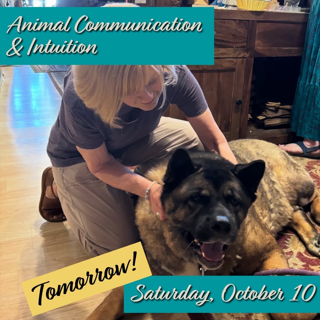 Join us tomorrow to explore how animals communicate in this experiential introductory animal communication class. 

𝗔𝗻𝗶𝗺𝗮𝗹 𝗖𝗼𝗺𝗺𝘂𝗻𝗶𝗰𝗮𝘁𝗶𝗼𝗻 &amp; 𝗜𝗻𝘁𝘂𝗶𝘁𝗶𝗼𝗻 with @petspointofview 
𝗦𝗮𝘁𝘂𝗿𝗱𝗮𝘆, 𝗢𝗰𝘁𝗼𝗯𝗲𝗿 𝟭𝟬𝘁𝗵 𝗳𝗿