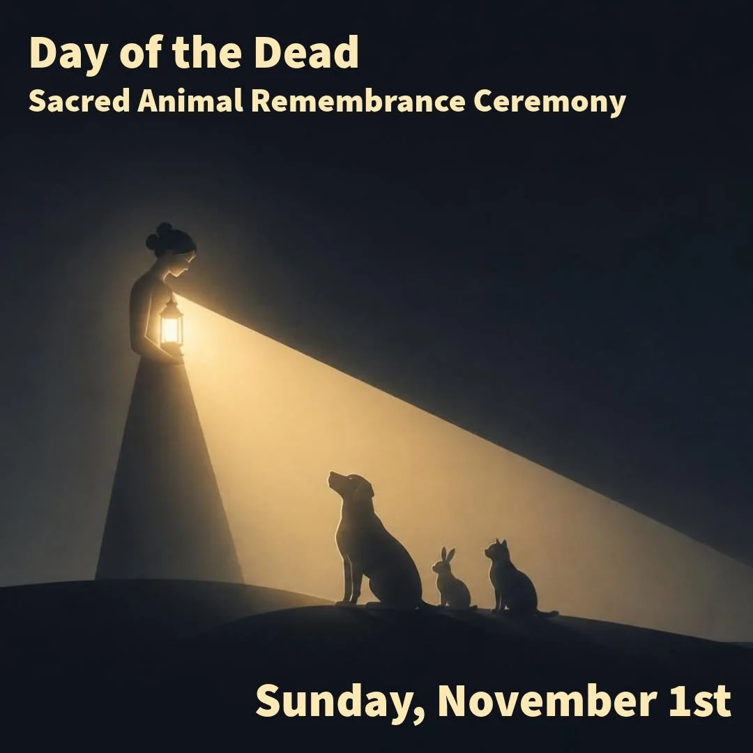 Join Ute Luppertz of @petspointofview  for a heart-centered gathering honoring the sacred bond we continue to share with the animals who have crossed over this Sunday afternoon.

𝗗𝗮𝘆 𝗼𝗳 𝘁𝗵𝗲 𝗗𝗲𝗮𝗱 - 𝗦𝗮𝗰𝗿𝗲𝗱 𝗔𝗻𝗶𝗺𝗮𝗹 𝗥𝗲𝗺𝗲𝗺𝗯𝗿?