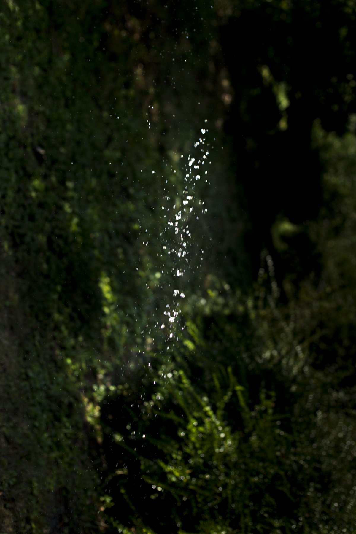 ‘Everything is I, we are all you’ is a work about interconnectedness, seeing the oneness in all things. This concept can be found in spirituality and philosophy, and also has links to discoveries in quantum mechanics. Interconnectedness borders the