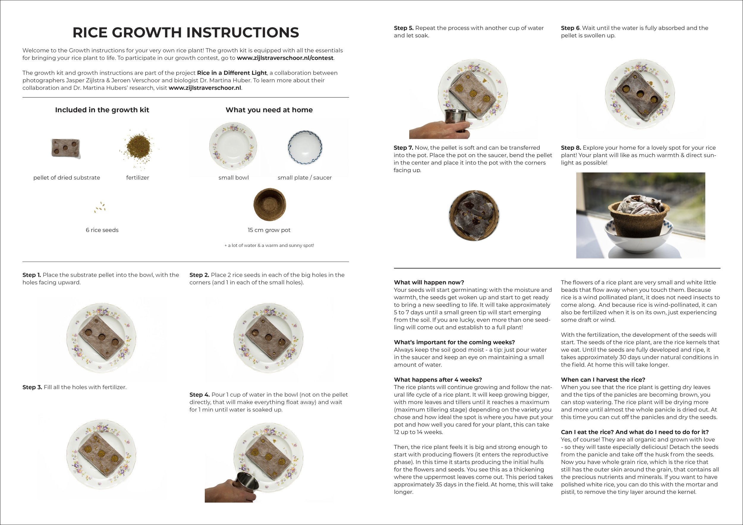 Rice Growth Instructions-1 copy.jpg