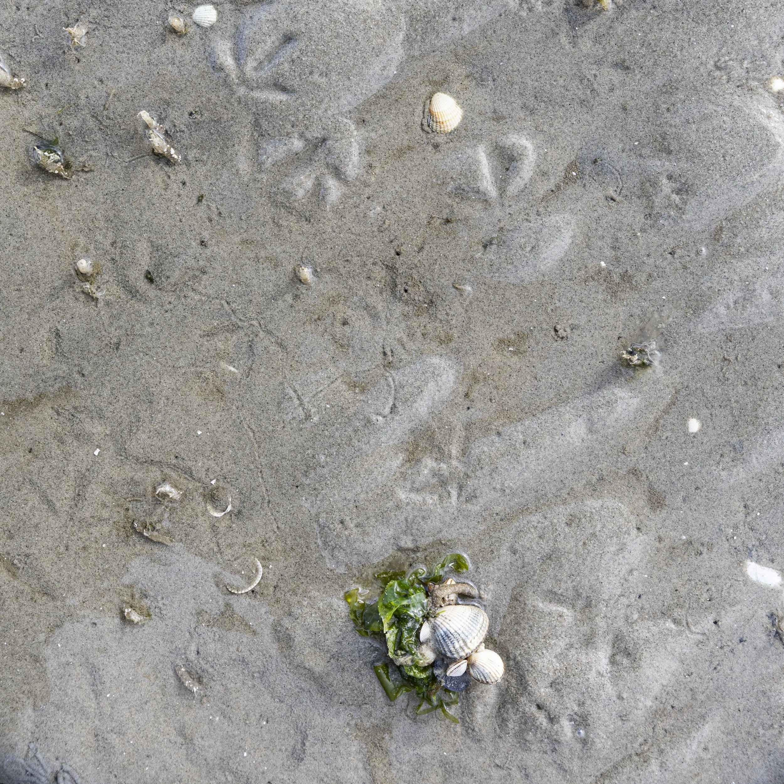 beeld 28 - _Z__8680.jpg