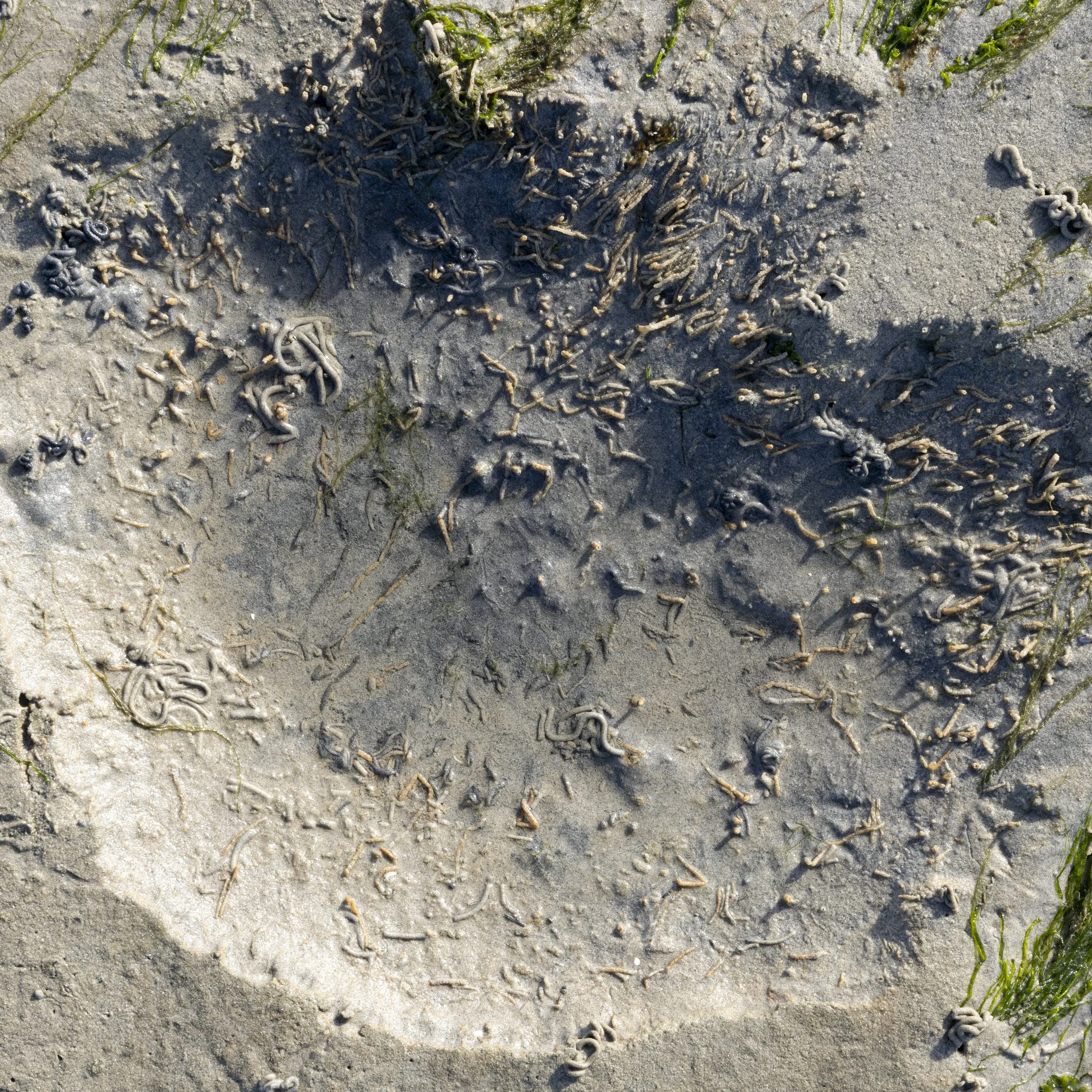 beeld 16 - _Z__8519.jpg