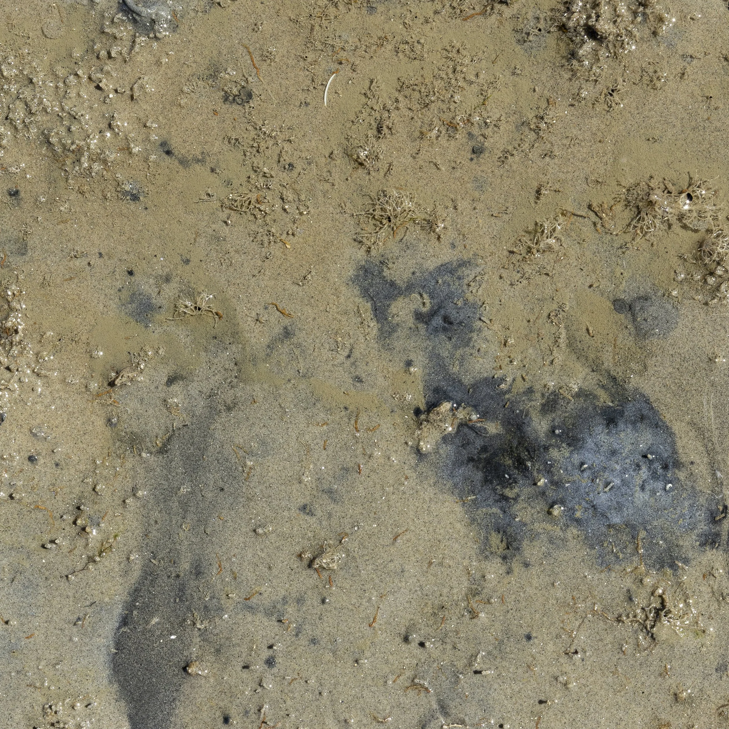 beeld 6 - _Z__0971.jpg