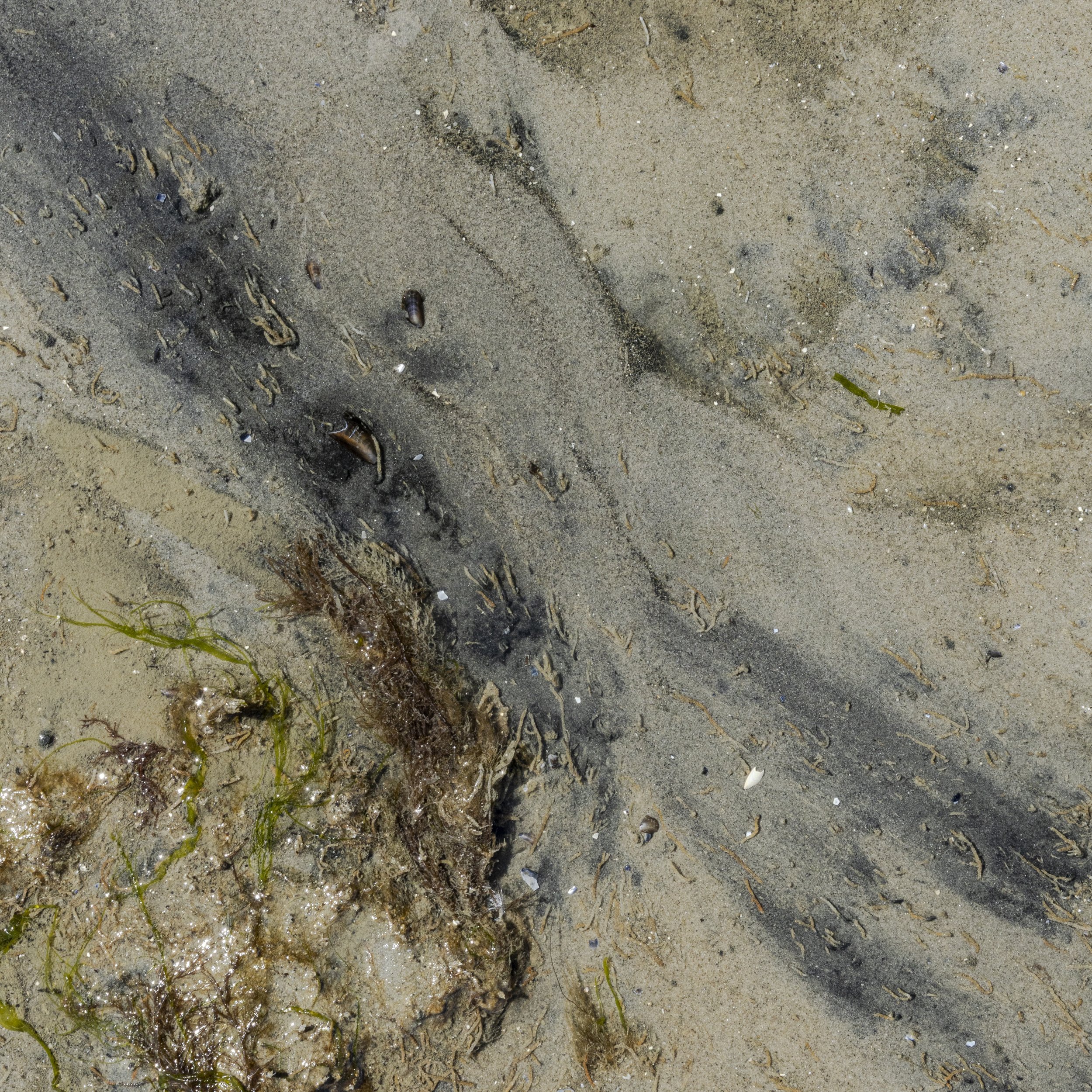 beeld 4 - _Z__0939.jpg