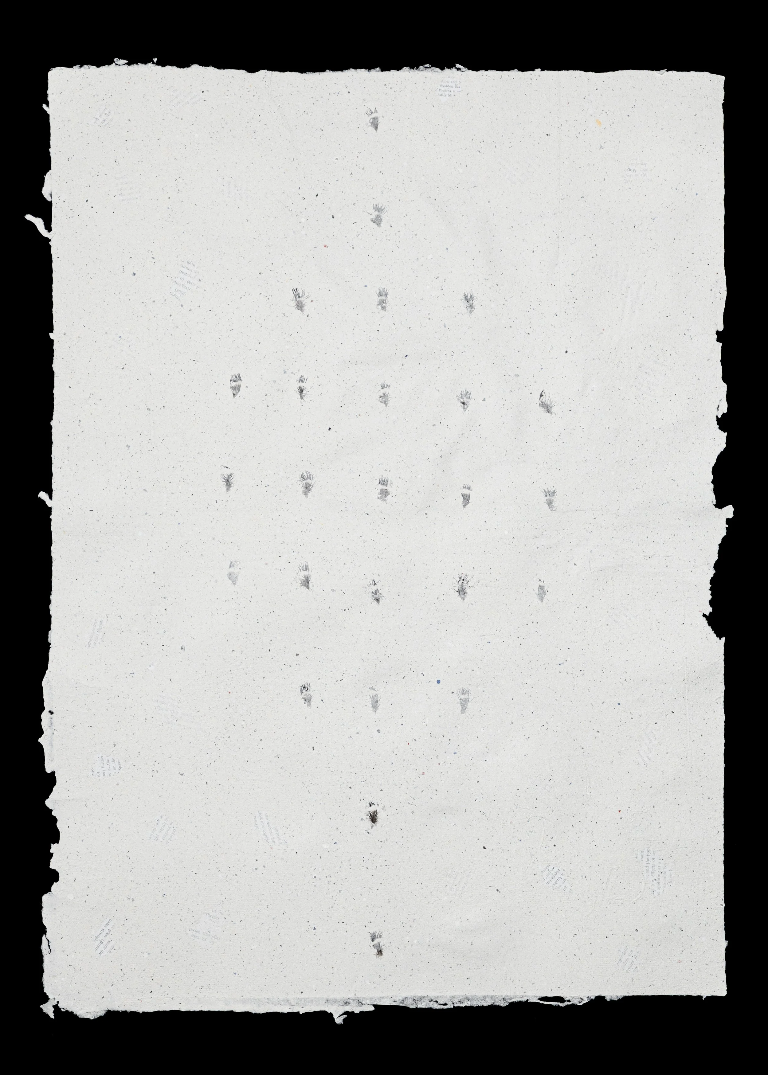 Jasper Zijlstra - Body of Work - 7563.jpg