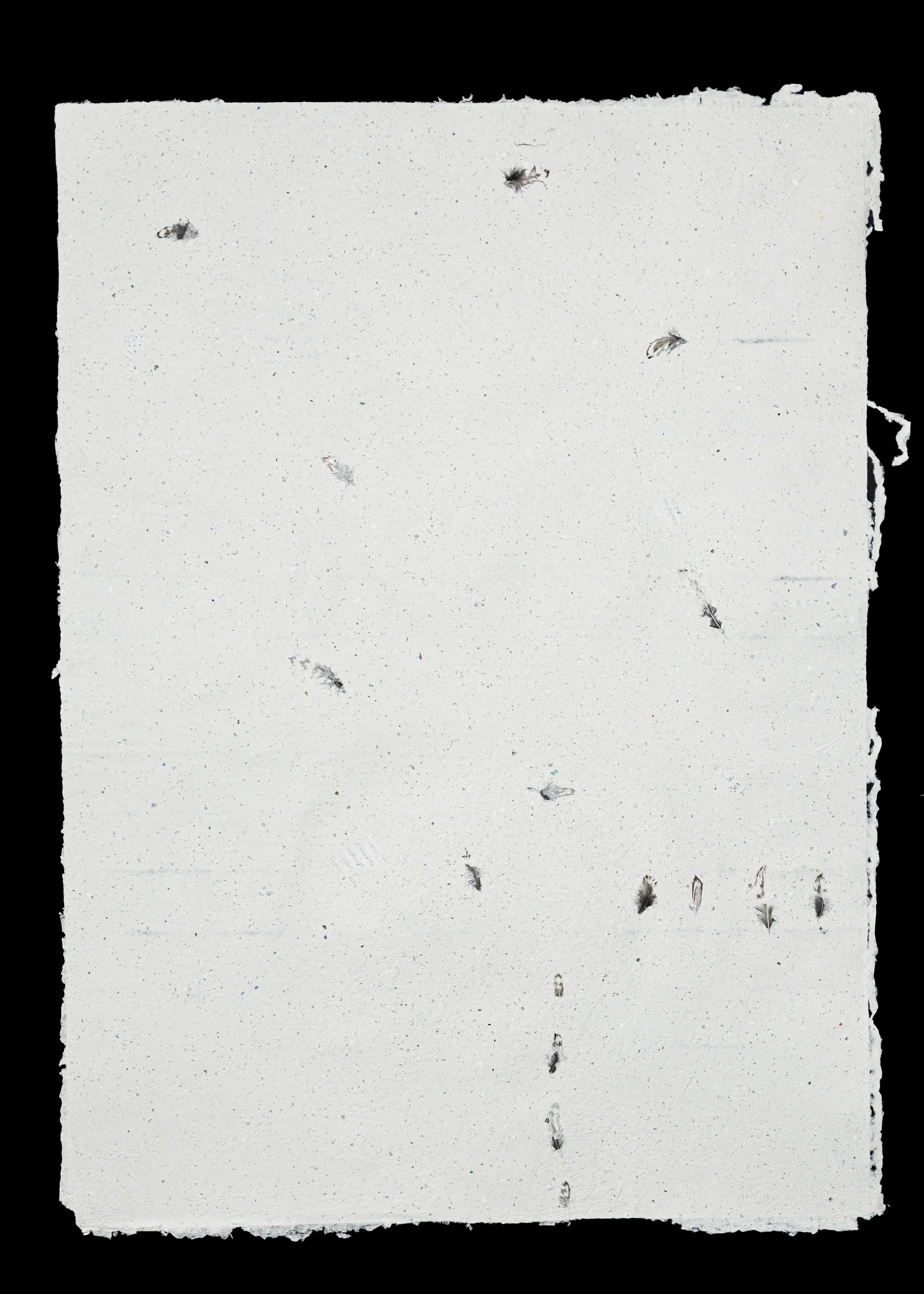 Jasper Zijlstra - Body of Work - 7584.jpg