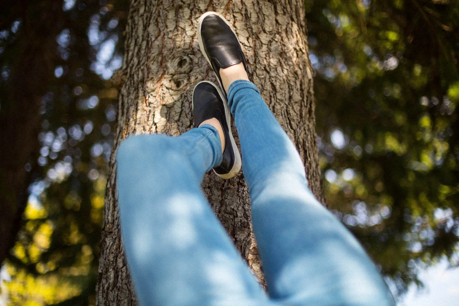 shoes.jpg
