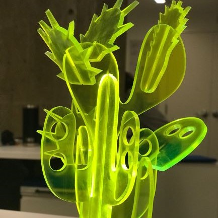 finalcactus1compressed.jpeg