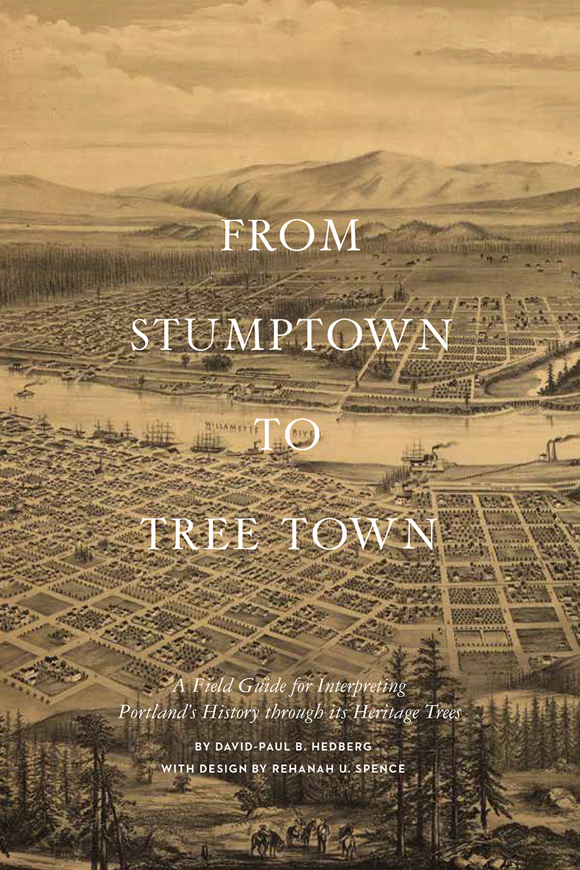 StumpTownToTreetown-01.png