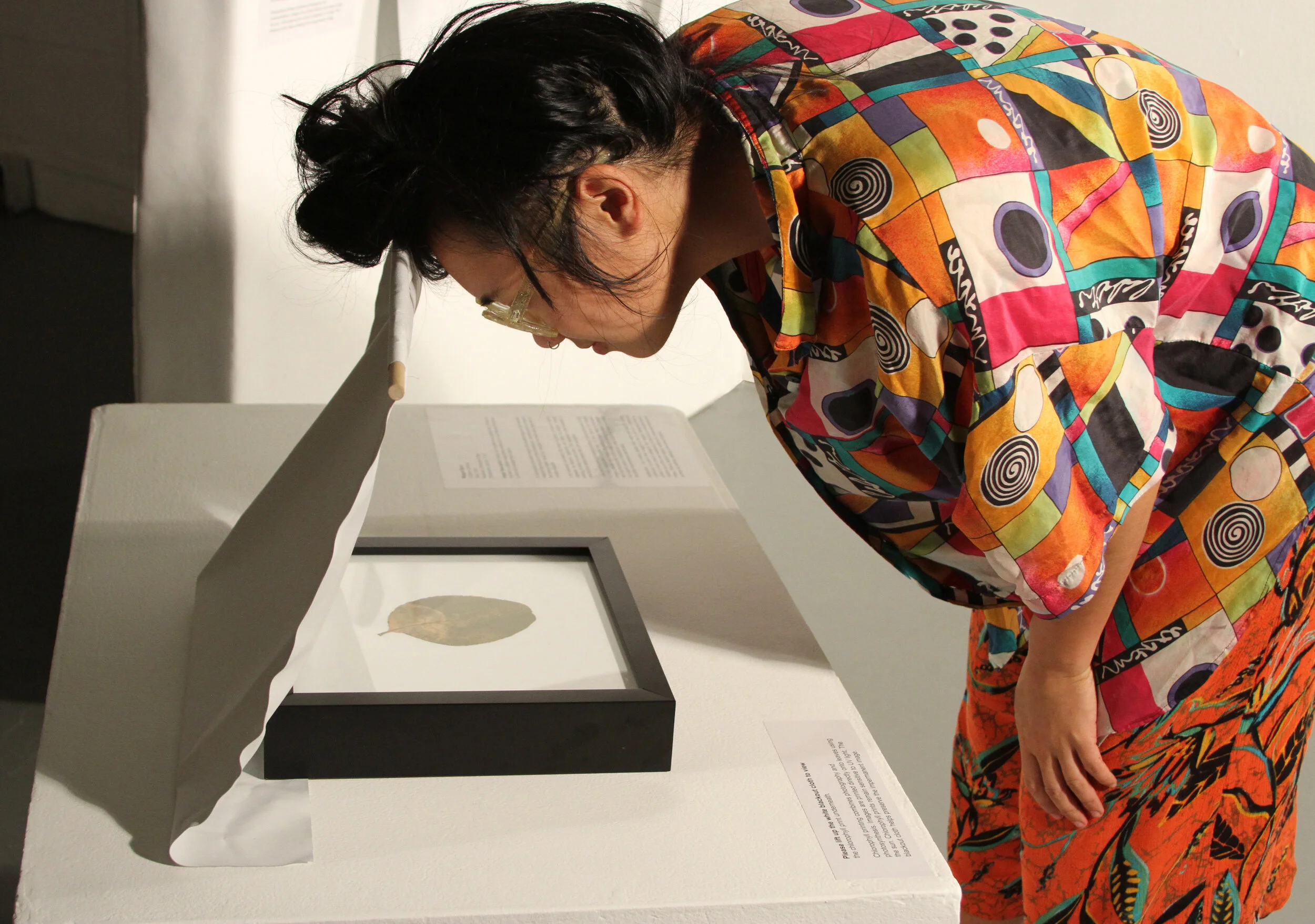 Viewing the work of Megan Bent