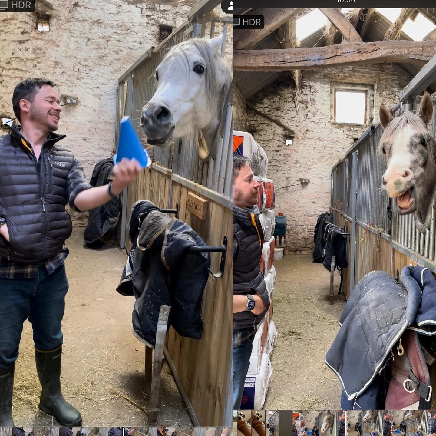 One of these horses is concentrating on his target training. The other is a crazy lunatic….
.
.
.
.
#smallholding #smallholdinglife #countrylife #horses #horsesofinstagram #horsestagram #horsesofig #horsesofinsta #horsesoninstagram #horseslove