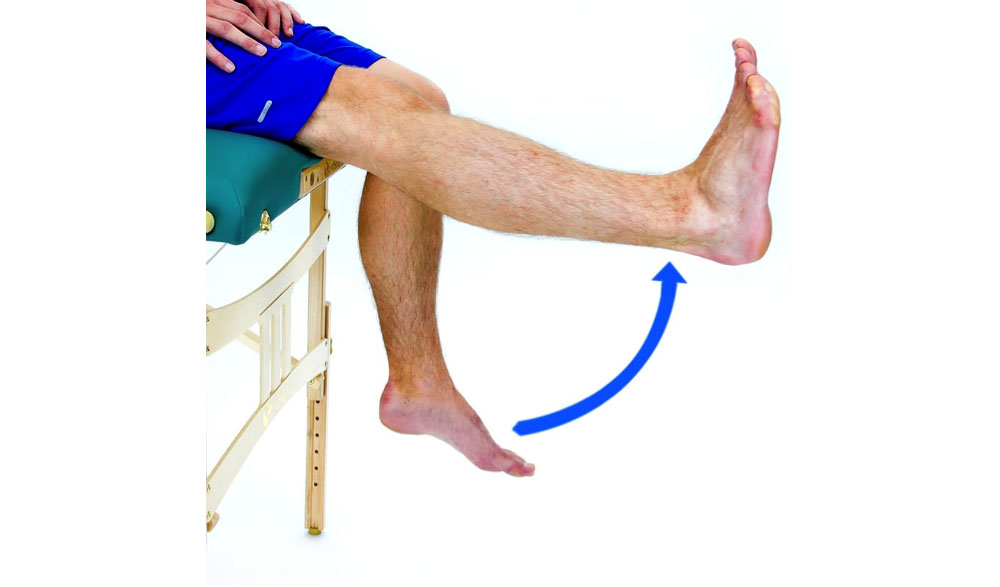 6 Knee Strengthening Exercises You Can Do Right Now — Physical Therapy in  Brooklyn
