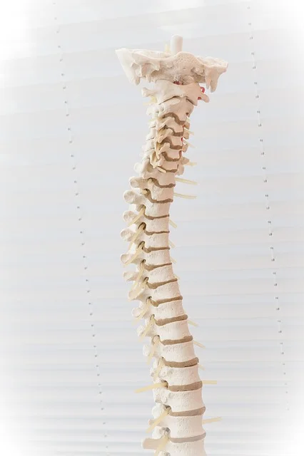 scoliosis-NYC.jpg