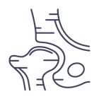 Improved Joint Function