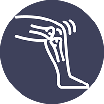 Lengthens Muscles and Tendons