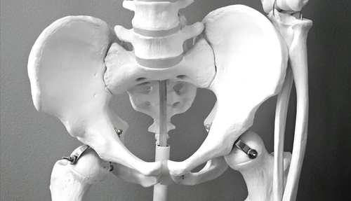 What Lies Beneath: Anterior Hip Pain and Its Connection to External ...