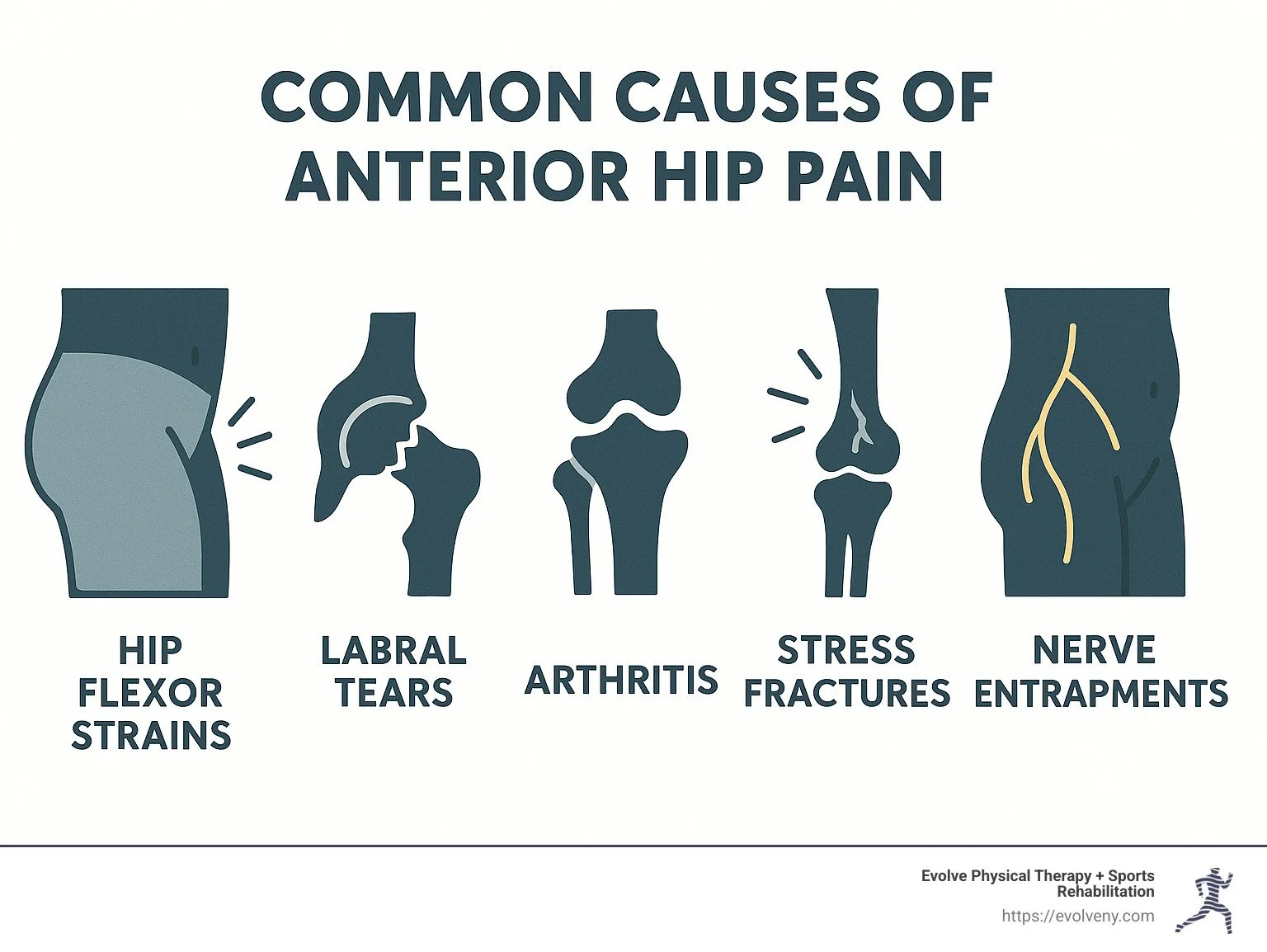 Anterior Hip Pain Explained: What You Need to Know — Physical Therapy ...