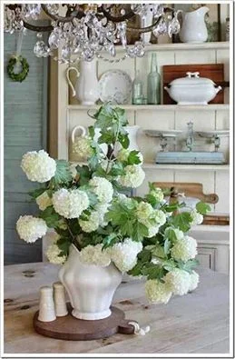 website image 3.jpg