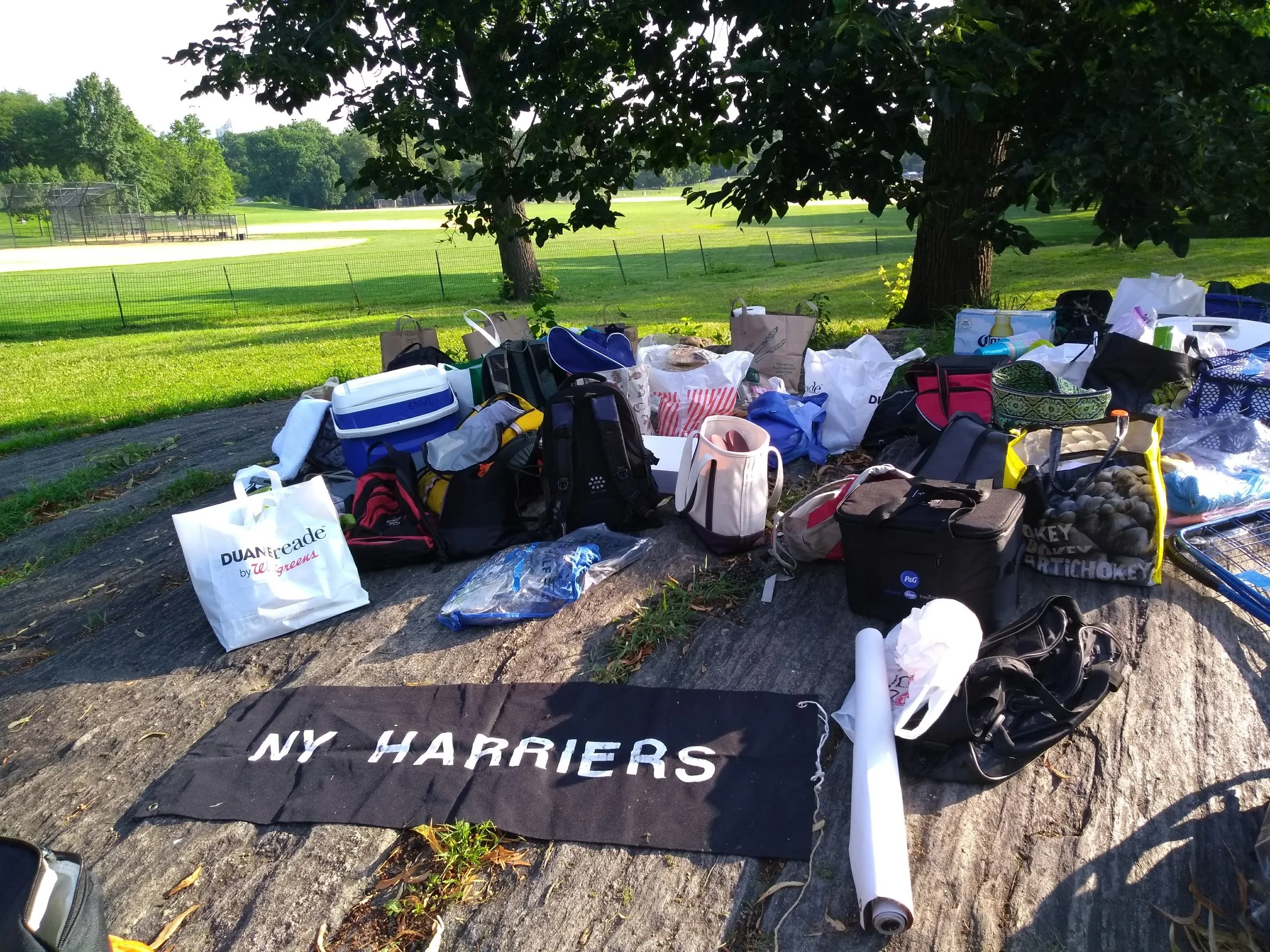 The OG Harriers Banner, ready for picnickers