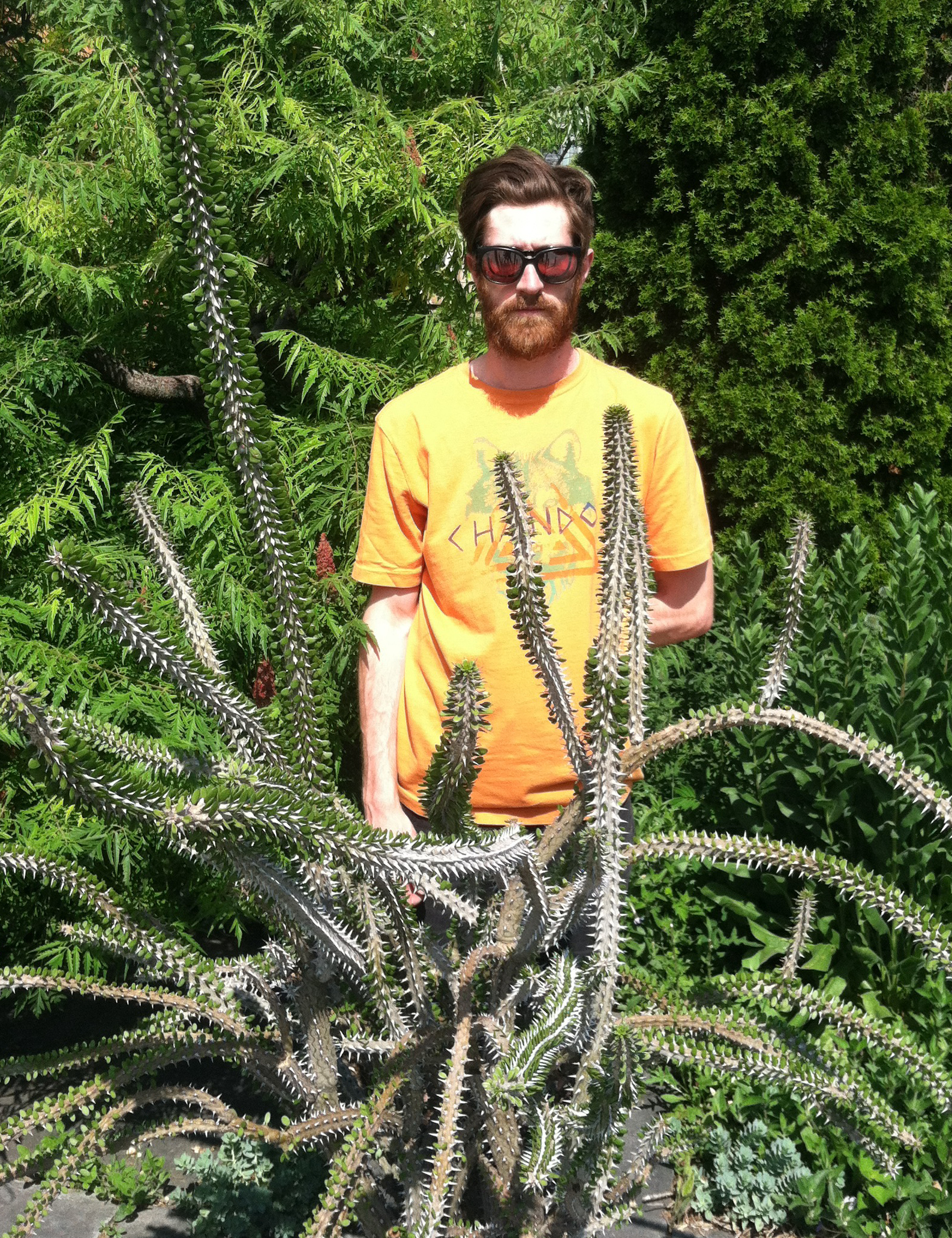Sean image The Luring.jpg