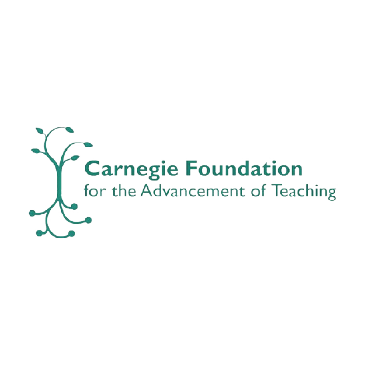 Carnegie Foundation