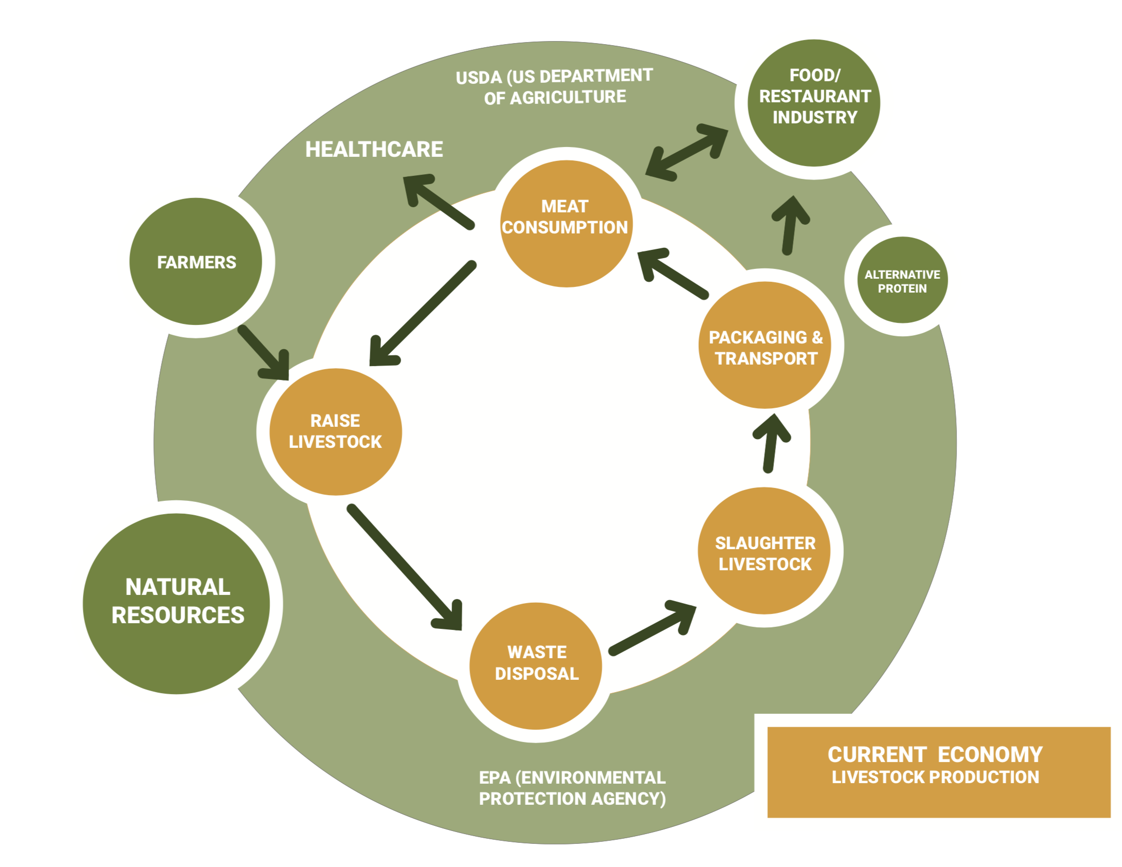 Screen Shot 2018-05-10 at 10.20.02 AM.png