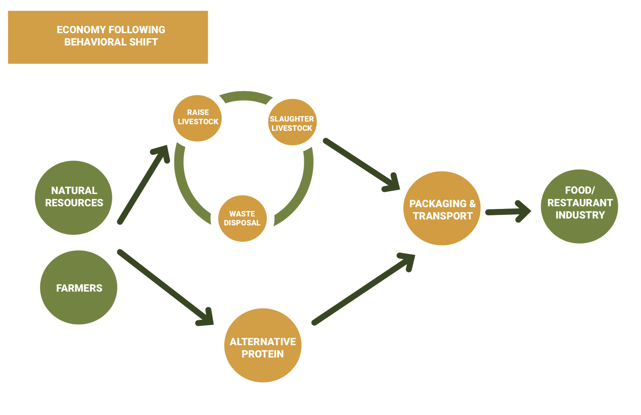 Screen Shot 2018-05-10 at 10.20.13 AM.png