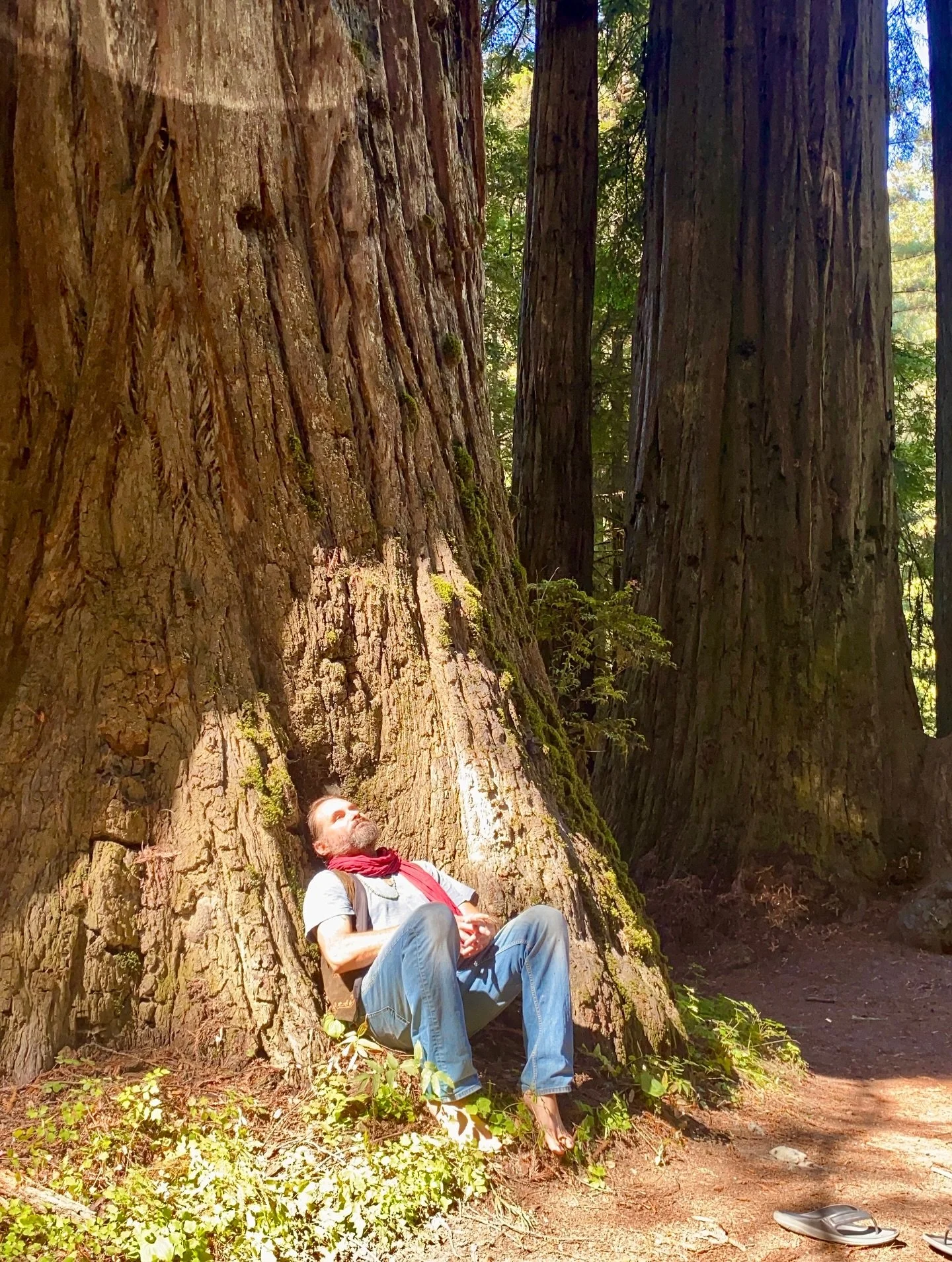 Love and grief flow through life like rivers to the sea&mdash;inevitable, inseparable, sacred. In the hush of the woods, the fall of water, and the breath of the ocean, nature gathers our broken pieces and returns them softened, whole. Let the wild w