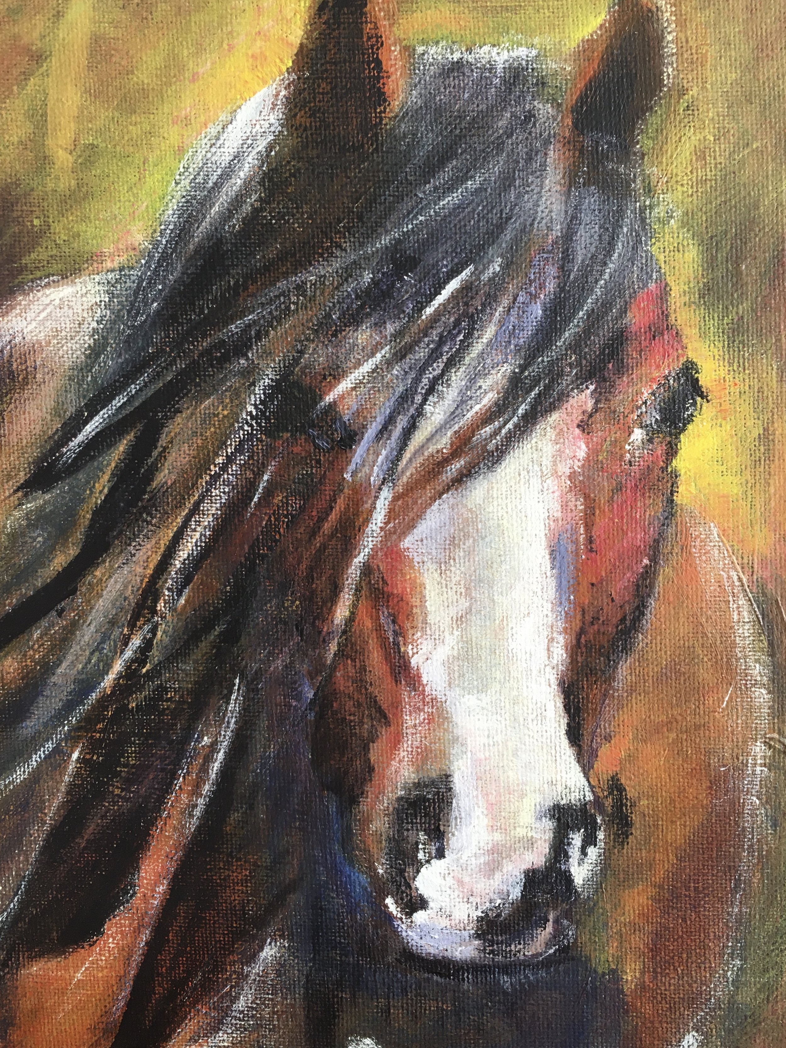 Welsh Pony