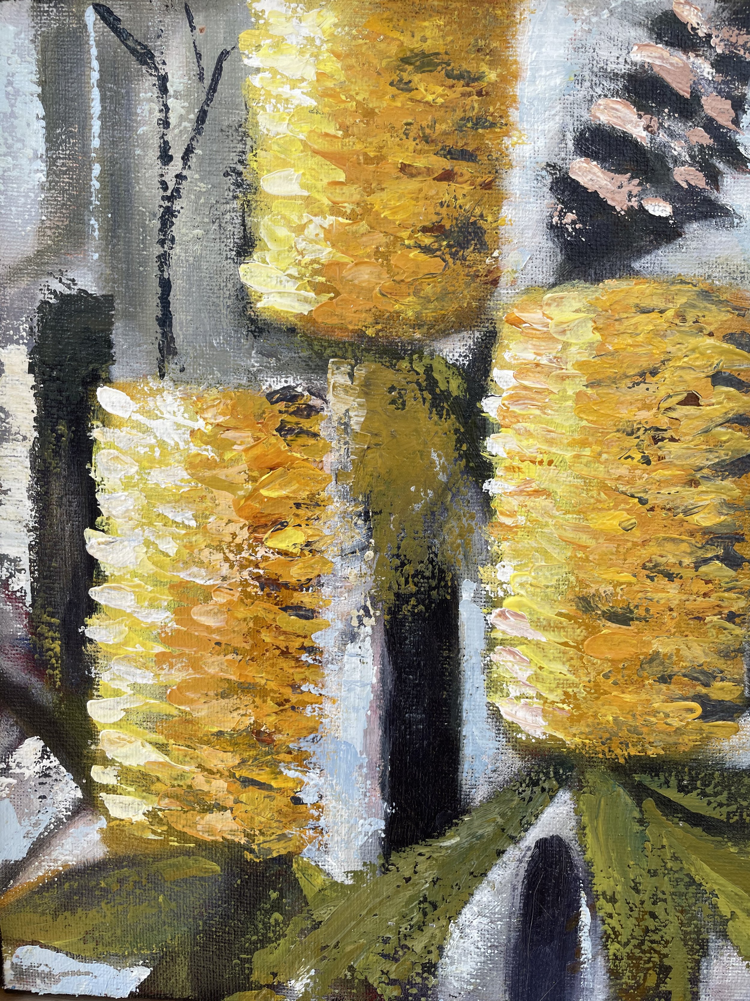 Banksia in the morning light