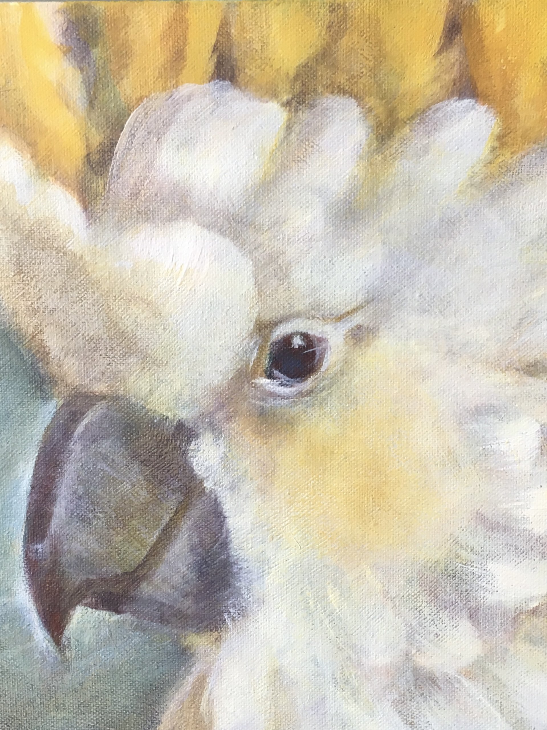 Cheery Cockatoo