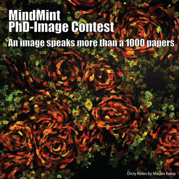 MindMint PhD-image contest
