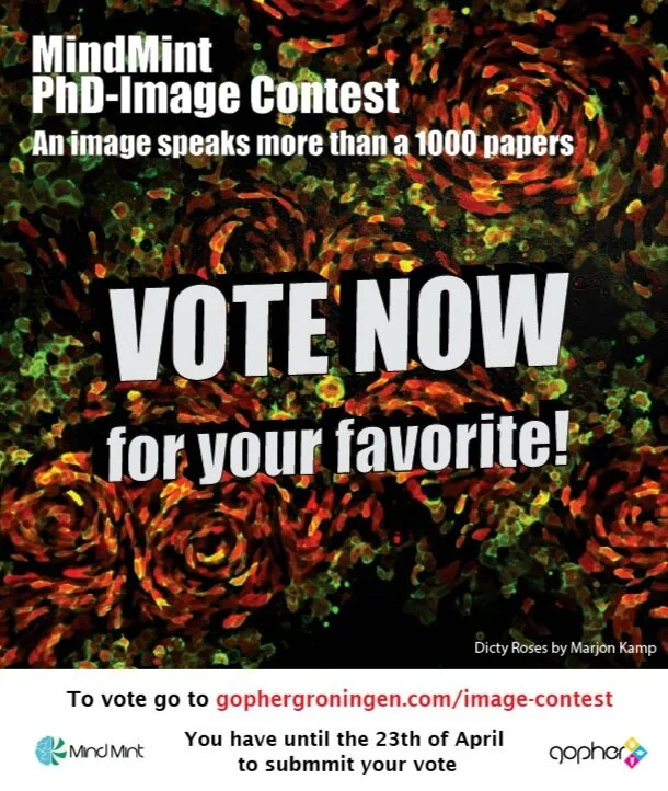 Vote for Audience Award of the MindMint PhD-Image Contest