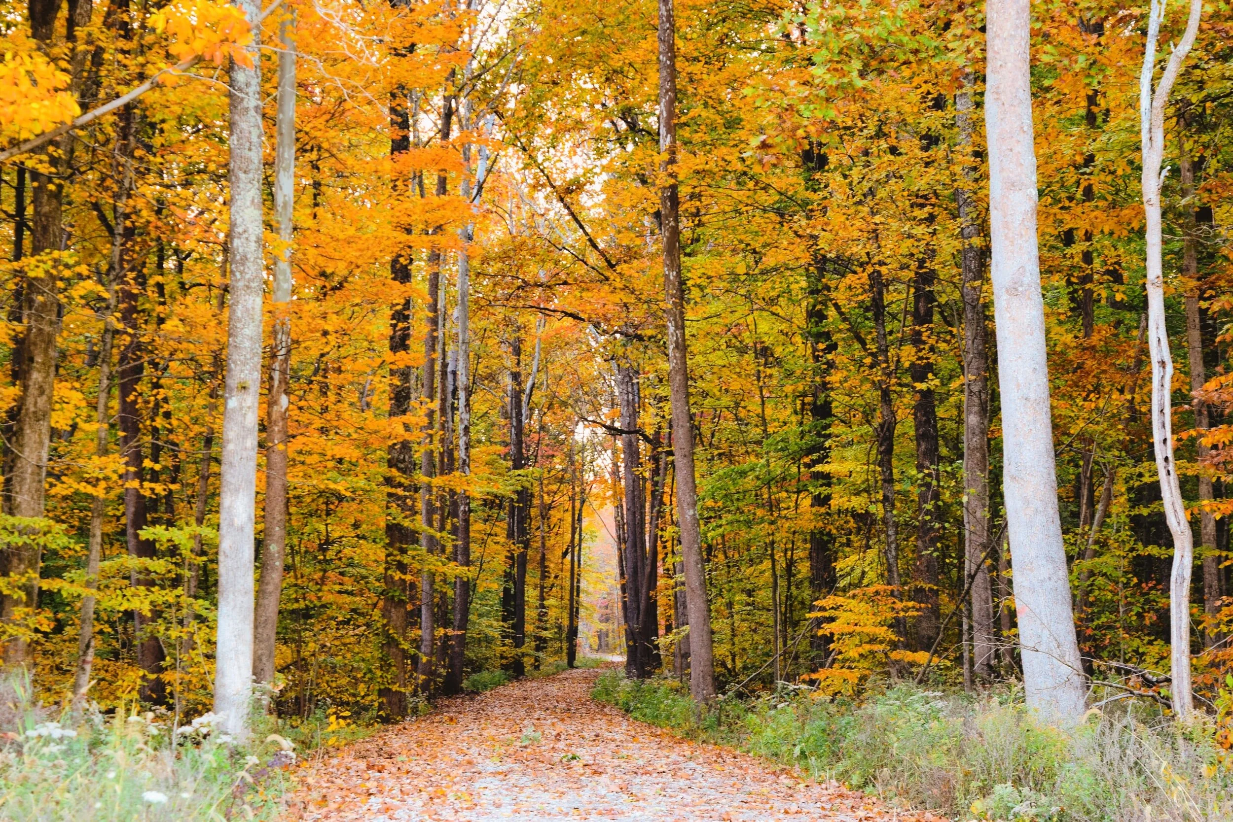 Day trip to Kamp Westerbork in Drenthe