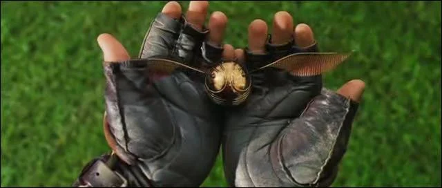 4. Harry becomes a seeker