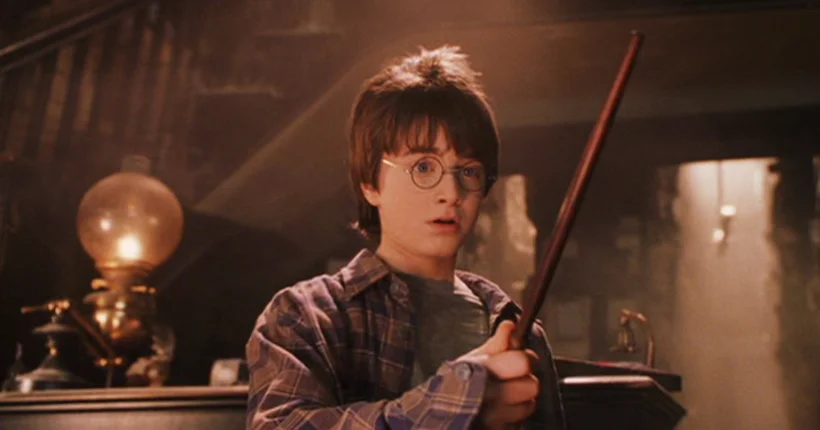 2. A wand chooses Harry