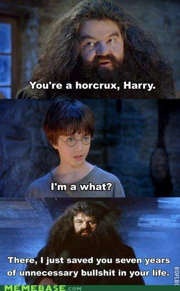 Harry potter memes - You're a horcrux.jpg