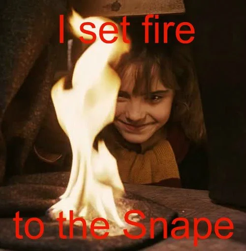 Timeless Harry Potter Memes