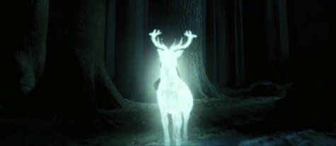 3.11 Prisoner of Azkaban - Wrap Up Discussion with a Special Guest!