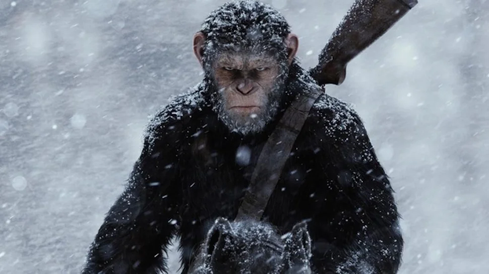 Bizarro Oscars: who did the Academy overlook?