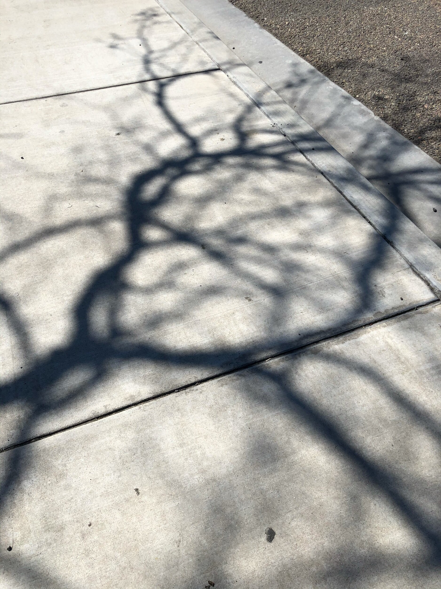 IMG_1367.jpeg