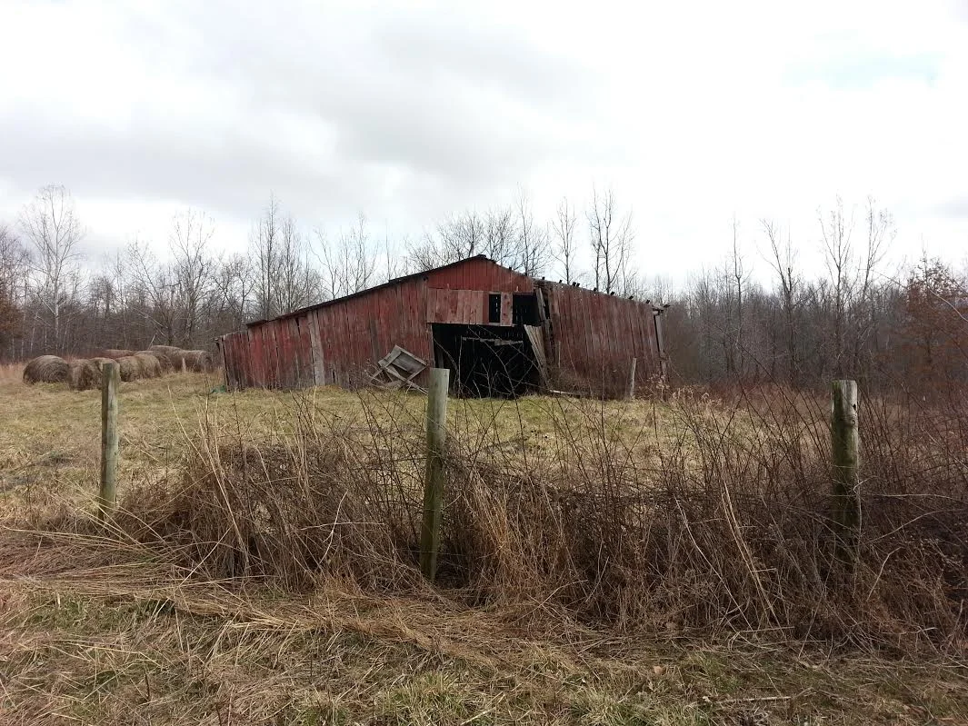 Old Tobacco Barn