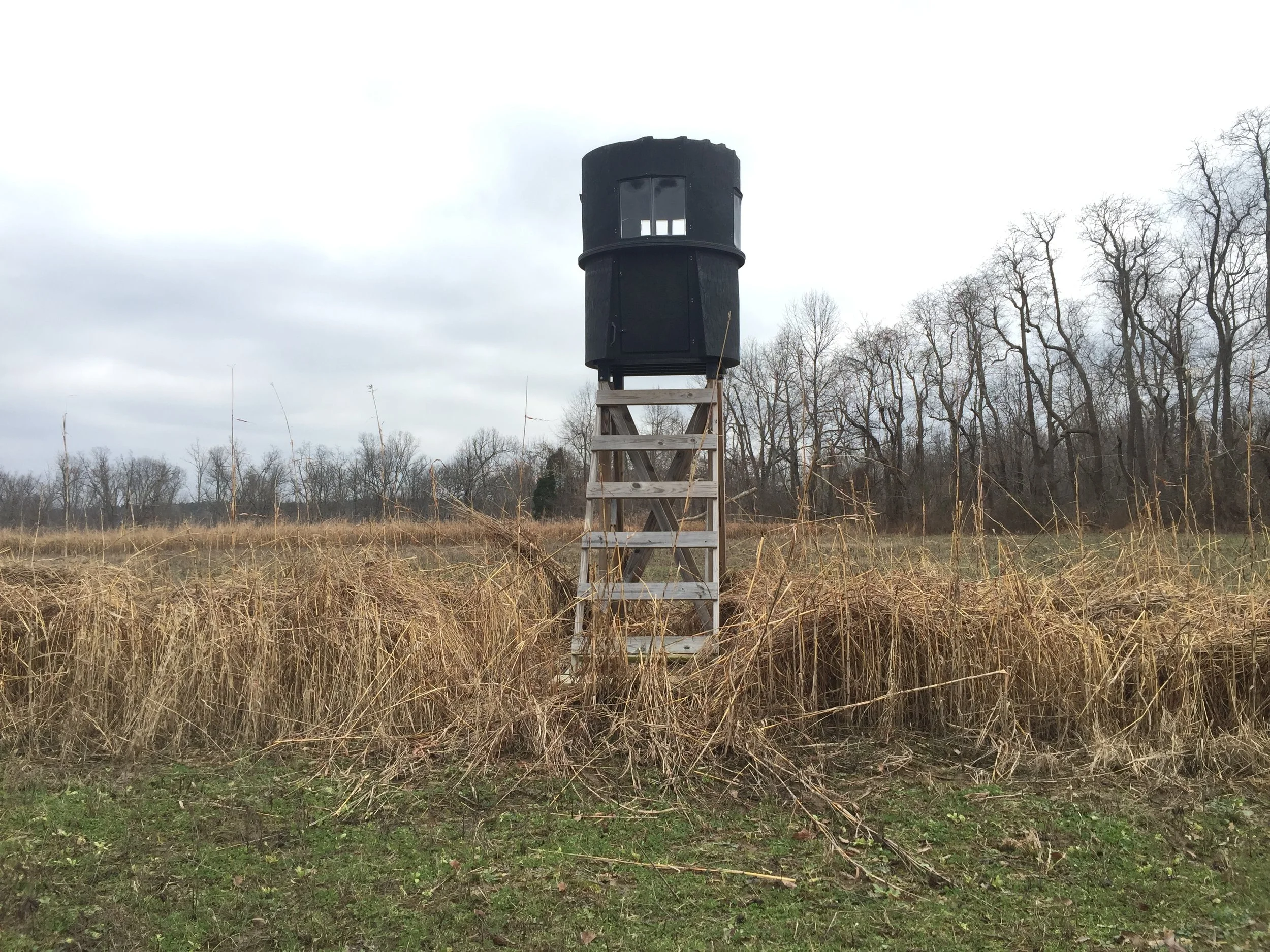 deer tower