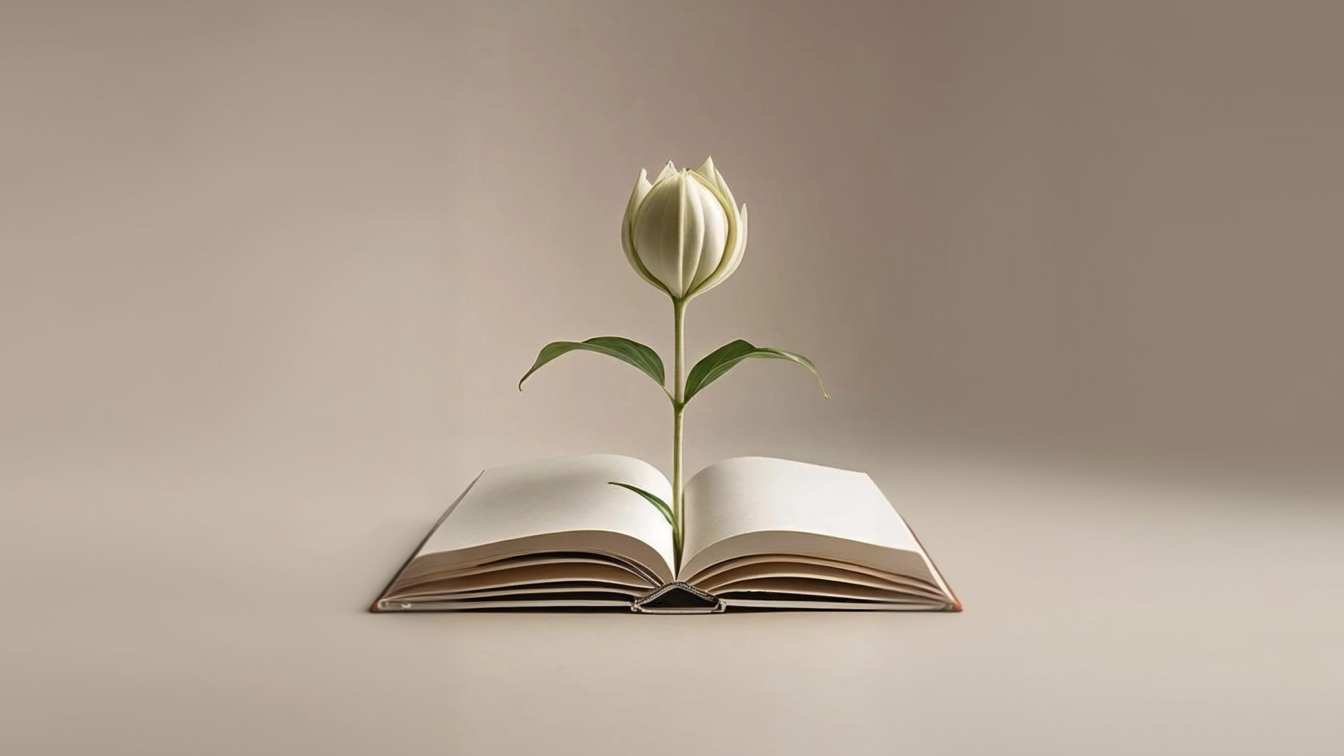 An open book with a white flower growing from the center of the pages