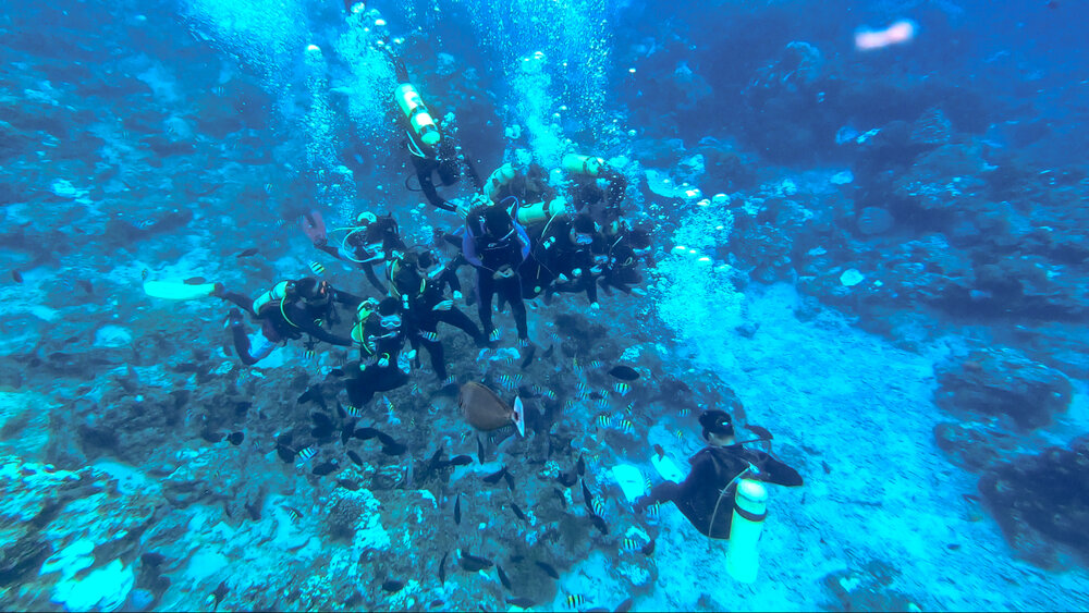 diving experience.jpg