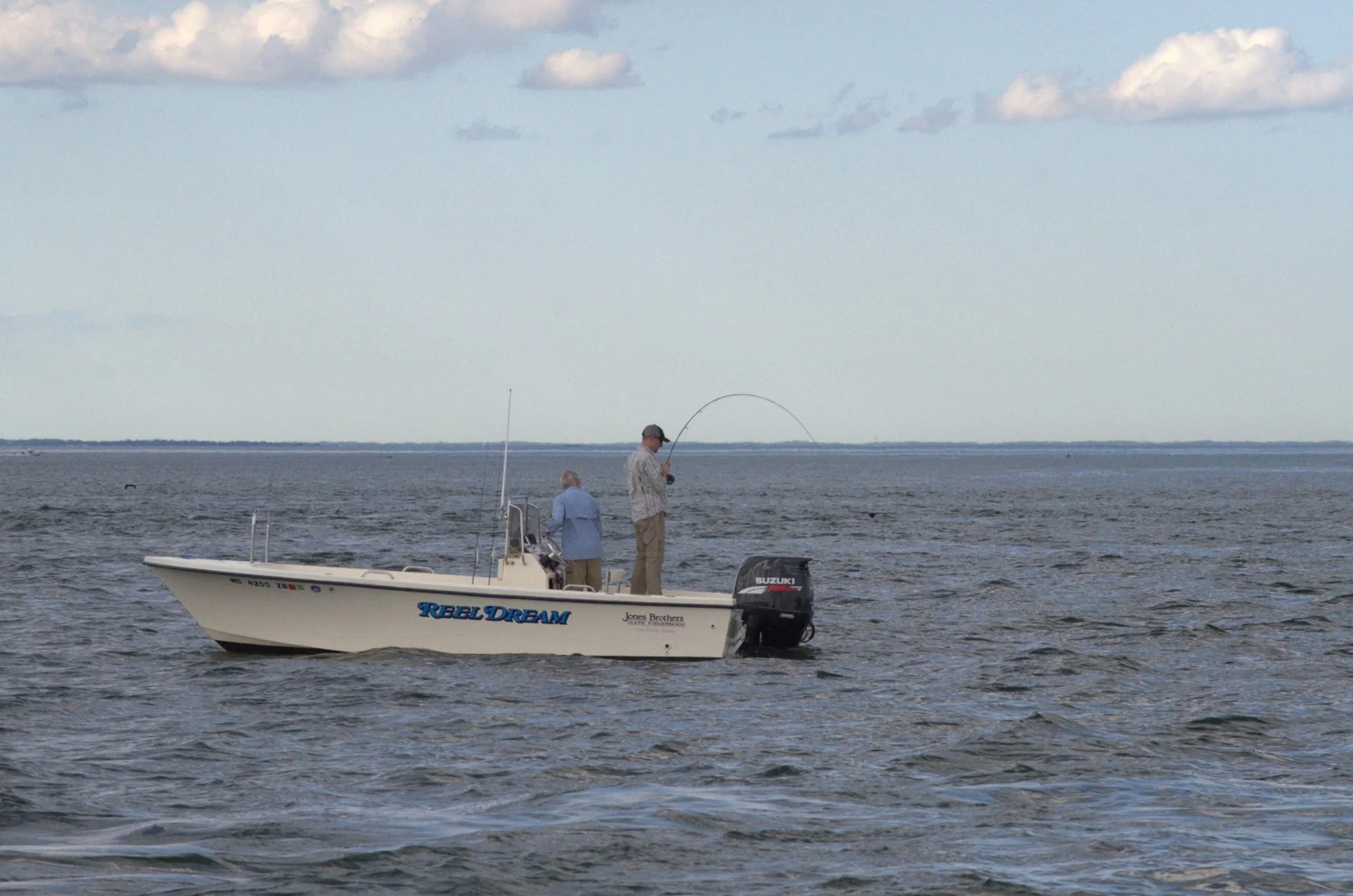 Deer I Light rips; June 2017.jpg