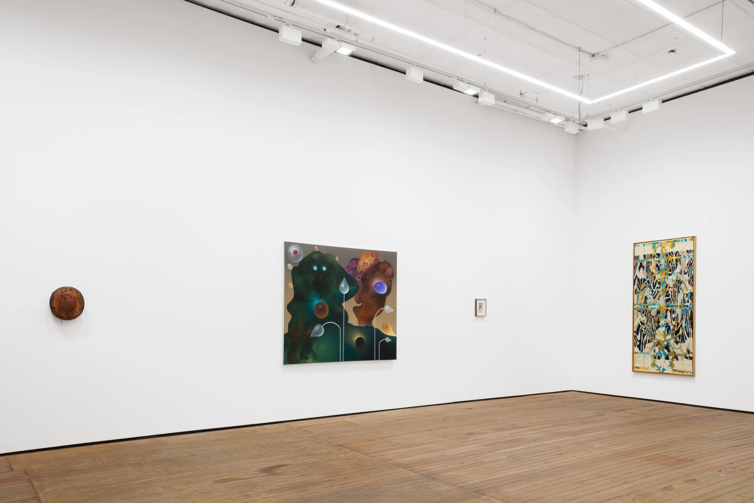Installation view of "Fruit and Fruition" at Grimm Gallery. 2024.