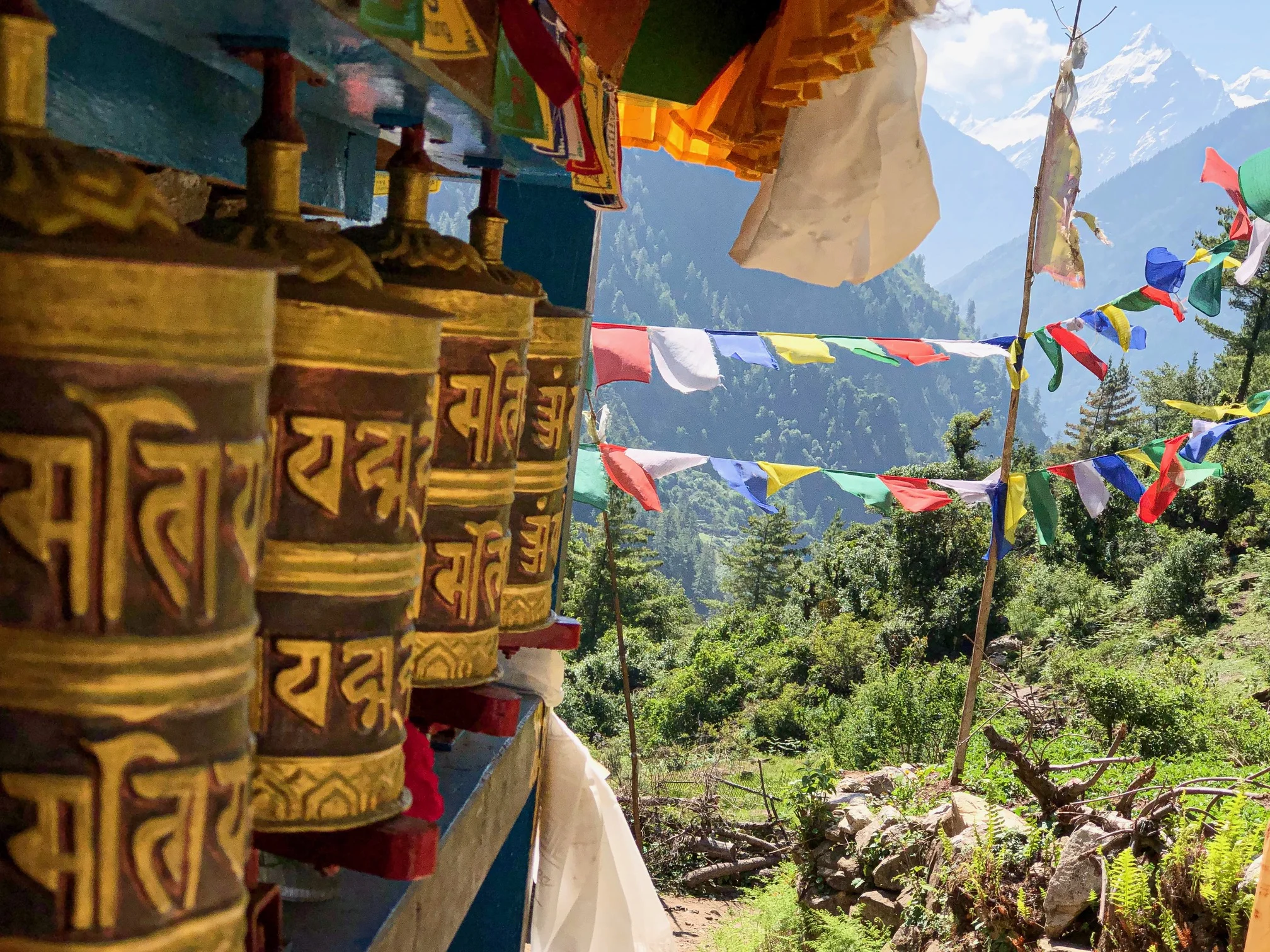 Manaslu Trek - Day 13: A Day of Gratitude...And a Dead Mule.
