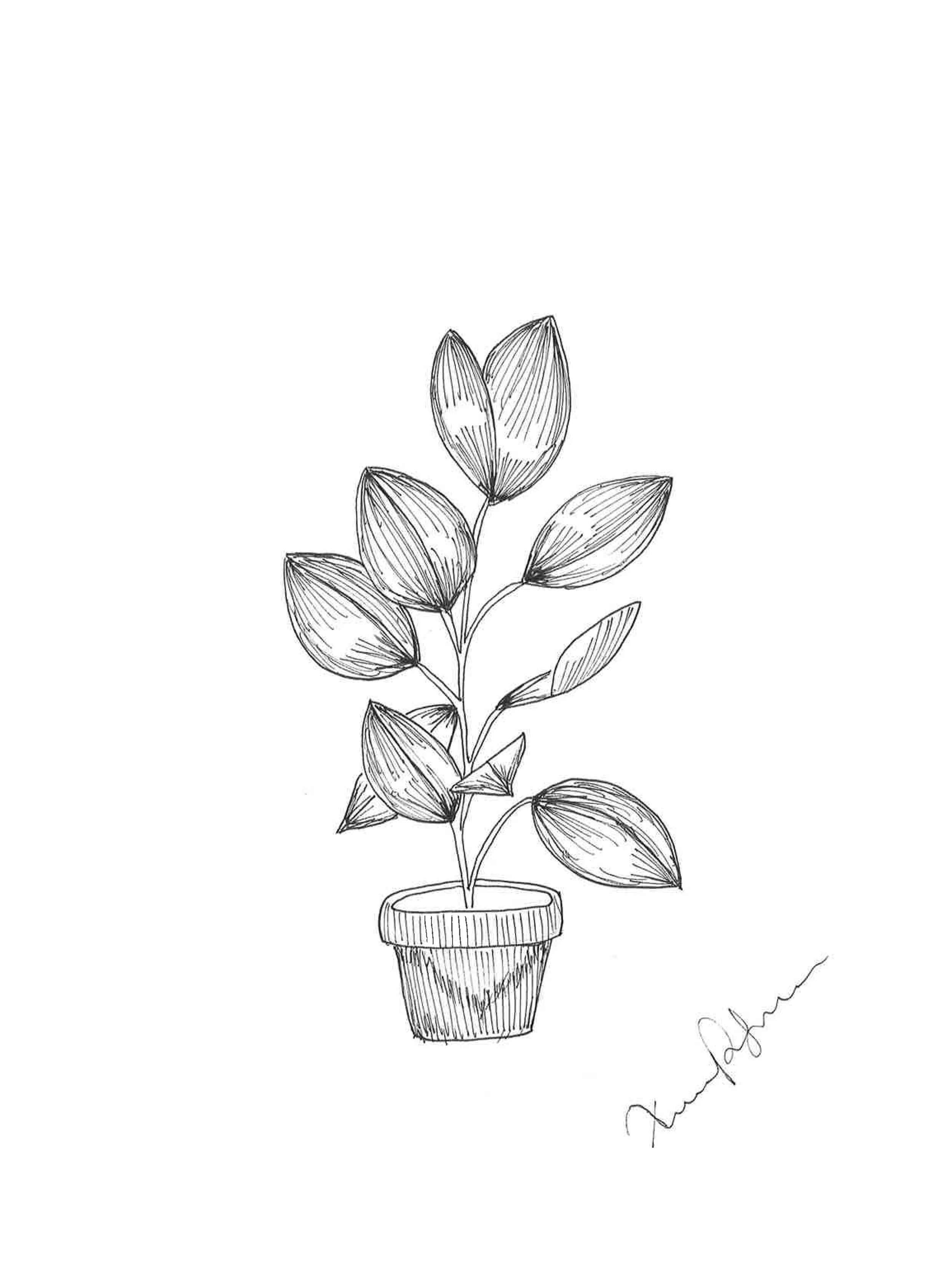 House Plant.jpg